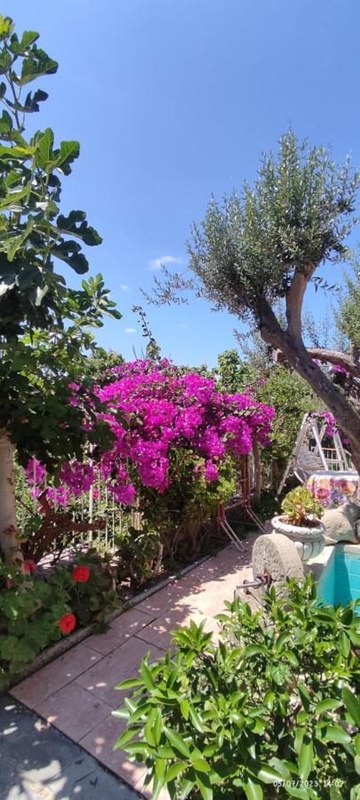 La Casa Di Mariu Bed & Breakfast Furnari Dış mekan fotoğraf